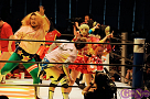 ニコニコ超会議・超プロレスリング「アイドルプロレス 仮面女子 vs ほもいろクローバーZ」より