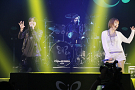 Eir Aoi LIVE TOUR 2015 -BEYOND THE LAPIS-より