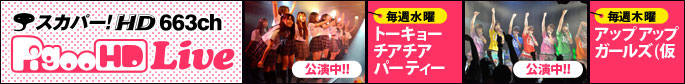PigooHD Live