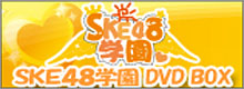 SKE48学園DVDBOX