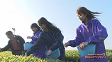 SUPER☆GiRLSの超絶アドベンチャー!
