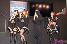 東京ゲームショウ2011 コンパニオン・アイドルフォトコレクション
