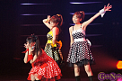  ドルスタスペシャルTokyo Idol Carnival ver.1