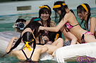 アイドル100人水泳大会