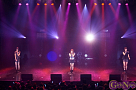 Negicco