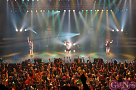 Negicco