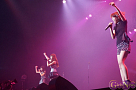 Negicco