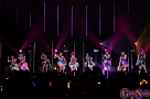 Cheeky Parade