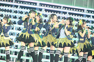 AKB48・2013 真夏のドームツアー～まだまだ、やらなきゃいけないことがある～ 京セラドーム公演(2日目)より (C)AKS