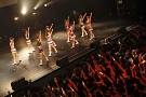 Cheeky Parade