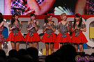 東京アイドルフェスティバル2014グランドフィナーレより