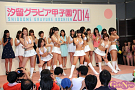 汐留グラビア甲子園2014より