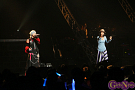 Live5pb.2014より