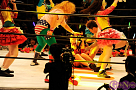 ニコニコ超会議・超プロレスリング「アイドルプロレス 仮面女子 vs ほもいろクローバーZ」より