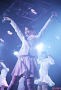 アイドルネッサンス グループ結成一周年ライブ「アキバで感謝するネッサンス！！」より