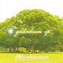 Hauptharmonie 「GOLDENBAUM ep.」ジャケ写