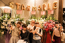 STARMARIE
