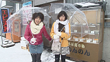 Natural Voice～81Room　加藤英美里　後藤沙緒里の北海道２人旅編