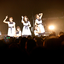 Dorothy Little Happy