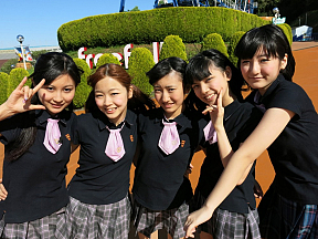 iDOL Street 絶対!アイドル道