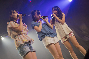 WHY＠DOLL(ホワイドール)