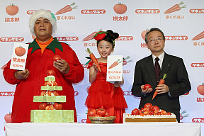 「やさいのクリスマスケーキ」発表会&試食会より