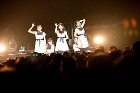 Dorothy Little Happy