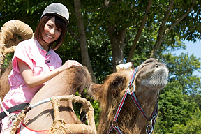 小島梨里杏 (C)tvk