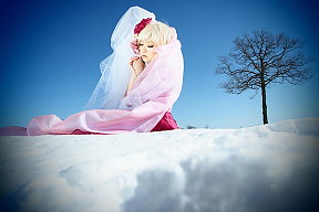 西条美咲 写真集「SNOW KINGDOM」より