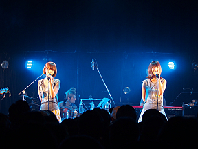 バニラビーンズ