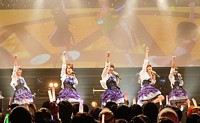 アプリコット・レグルス