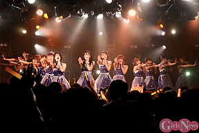 純情のアフィリア