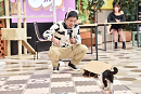 《企画①》猫かわいい動画を撮ろう！©テレビ大阪