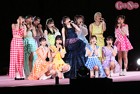 つばきファクトリー