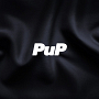 アップアップガールズ(2)『PuP』