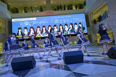 可憐なアイボリーPhoto by 林晋介