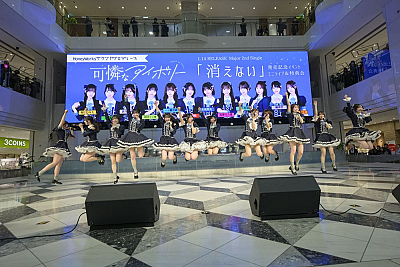 可憐なアイボリーPhoto by 林晋介