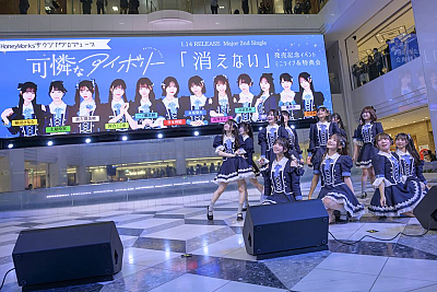 可憐なアイボリーPhoto by 林晋介