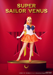 スーパーセーラーヴィーナス／愛野美奈子_ちばひなの