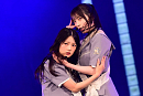 「美しい共犯者」