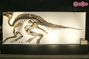 ヨコハマ恐竜展2026