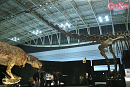 ヨコハマ恐竜展2026
