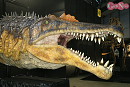 ヨコハマ恐竜展2026