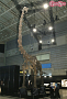 ヨコハマ恐竜展2026