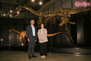 ヨコハマ恐竜展2026(ヨコハマ恐⻯展実⾏委員会会長、福井県⽴恐⻯博物館館長)