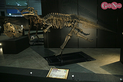 ヨコハマ恐竜展2026