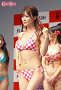 藤白ちらり
