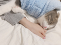森みはる5
